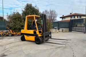 S155 Mulletto Detas 30 q