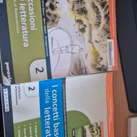 Le occasioni della letteratura 2