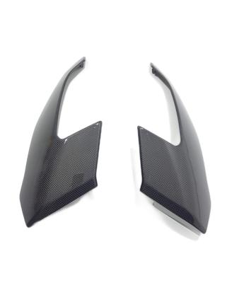 FIANCHETTI COPRI FARO ANTERIORE CARBONIO BMW S1000