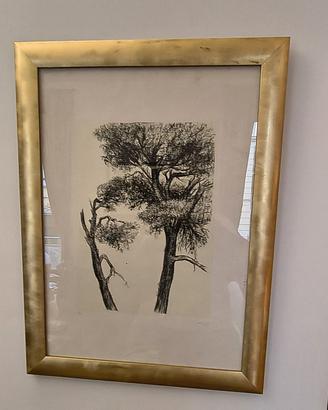 LITOGRAFIA cm 70 x 50 di ZIVERI ALBERTO