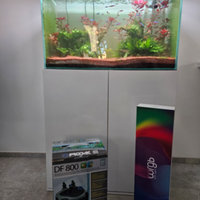 Acquario Artigianale completo