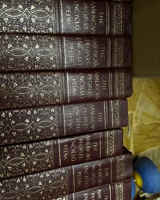 Enciclopedia Americana volumi dal 6 al 20