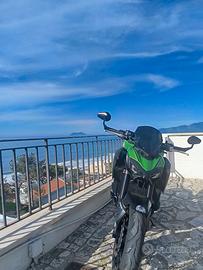 Kawasaki z900 2018