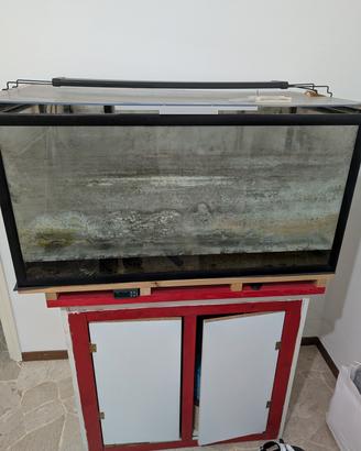 acquario 250lt