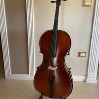 violoncello