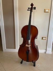 violoncello