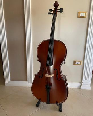 violoncello