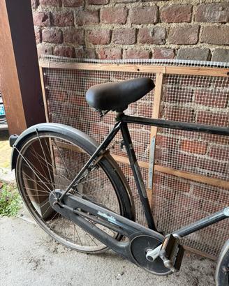 bicicletta bottecchia 