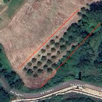 Terreno agricolo di 4.000 mq a Colfelice