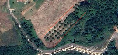 Terreno agricolo di 4.000 mq a Colfelice