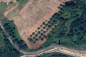 Terreno agricolo di 4.000 mq a Colfelice