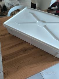 contenitore alimentare per lievitazione