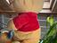 Immagine 3