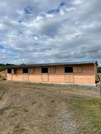 Costruzione box per cavalli interno ed esterno