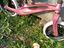 Immagine 3