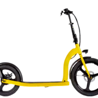 MONOPATTINO RUOTE ALTE