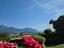 Immagine 1