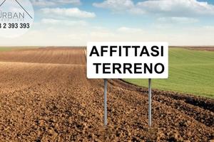 Terreno per coltivare