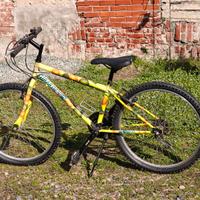 Mountain Bike Girardengo 