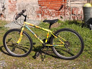Mountain Bike Girardengo 