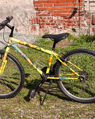 Mountain Bike Girardengo 