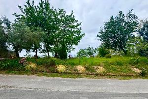 TER. AGRICOLO A BELMONTE CALABRO