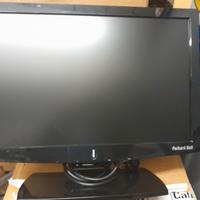 Monitor per PC Packard Bell 14 pollici