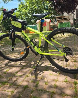 Montain bike mtb bici
