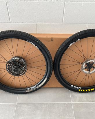 Ruote Ursus Diablo Carbonio