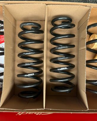 Molle Eibach x Golf Gti 7.5