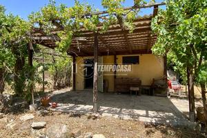 TERRENO CON CASA ATTREZZI