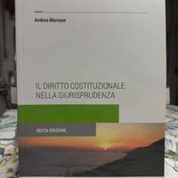 Il diritto costituzionale nella giurisprudenza