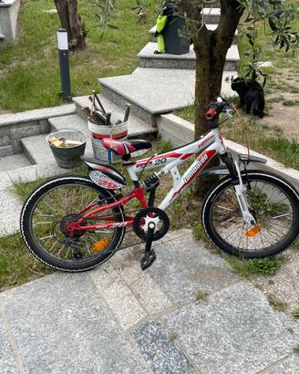 Bici mtb da bambino.