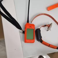 Collare gps dog trace