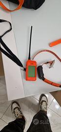 Collare gps dog trace