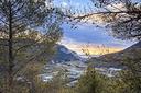 ter-agricolo-a-ventimiglia