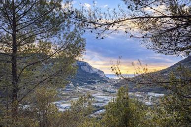 TER. AGRICOLO A VENTIMIGLIA
