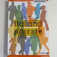 Libro italuano plurare grammatica e scrittura