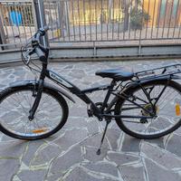 Bicicletta ragazzo 21"