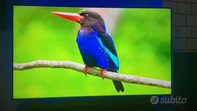 smart TV Samsung 55"