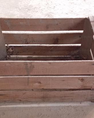 Cassette di legno per frutta