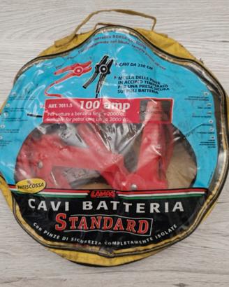 Cavi auto moto furgone  batteria 2,5 metri 