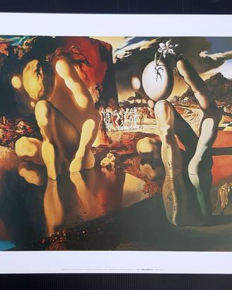 POSTER - STAMPA D’ARTE DALÌ METAMORFOSI DI NARCISO
