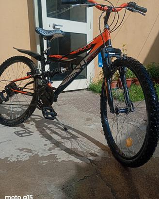 Bicicletta ragazzo