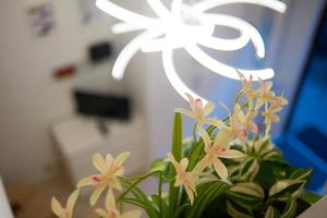 Appartamento zona Isola disponibile max 2 persone