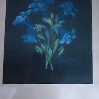 Aquarelli di Primo Moretti