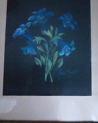 Aquarelli di Primo Moretti