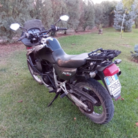 Honda Transalp iscritta FMI