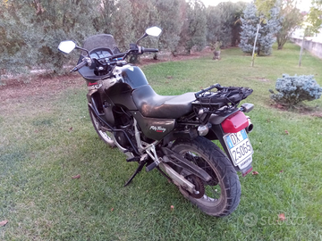 Honda Transalp iscritta FMI