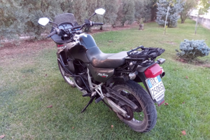 Honda Transalp iscritta FMI